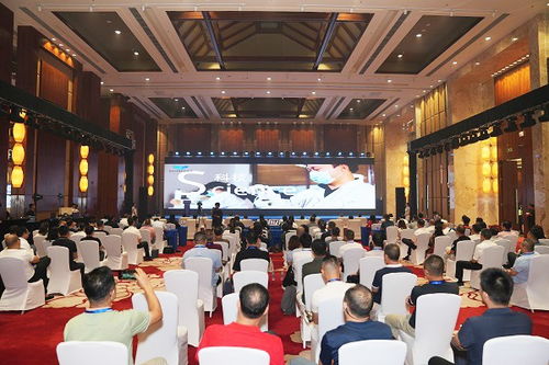 海南數(shù)字文化產(chǎn)業(yè)交流會(huì)成功舉辦 以數(shù)字化賦能文化產(chǎn)業(yè)高質(zhì)量發(fā)展